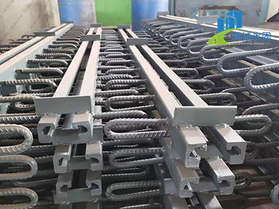 模数式伸缩装置图片3