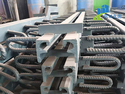 模数式伸缩装置图片4